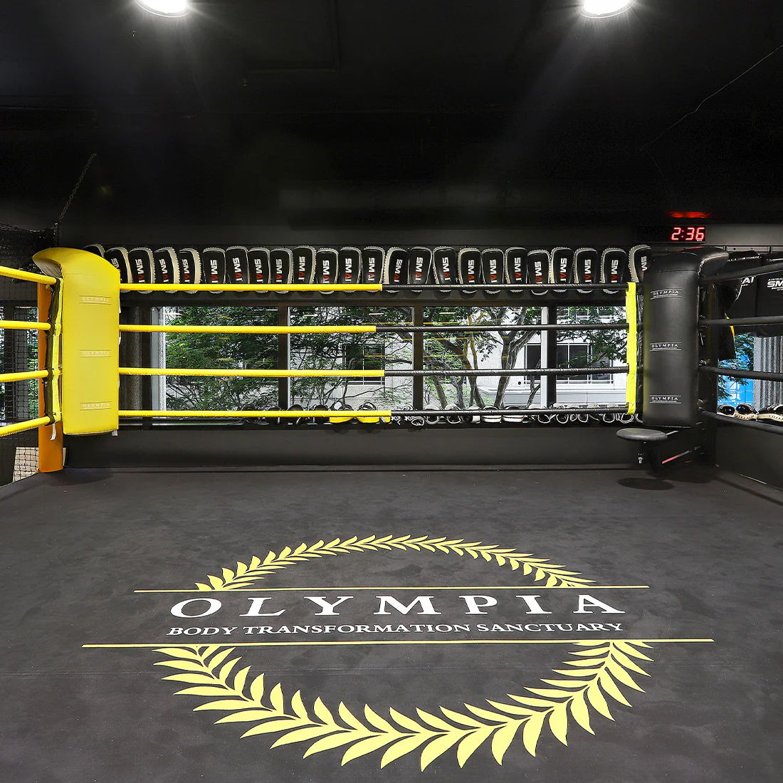 5m Boxing Ring - Competition - Image 4
