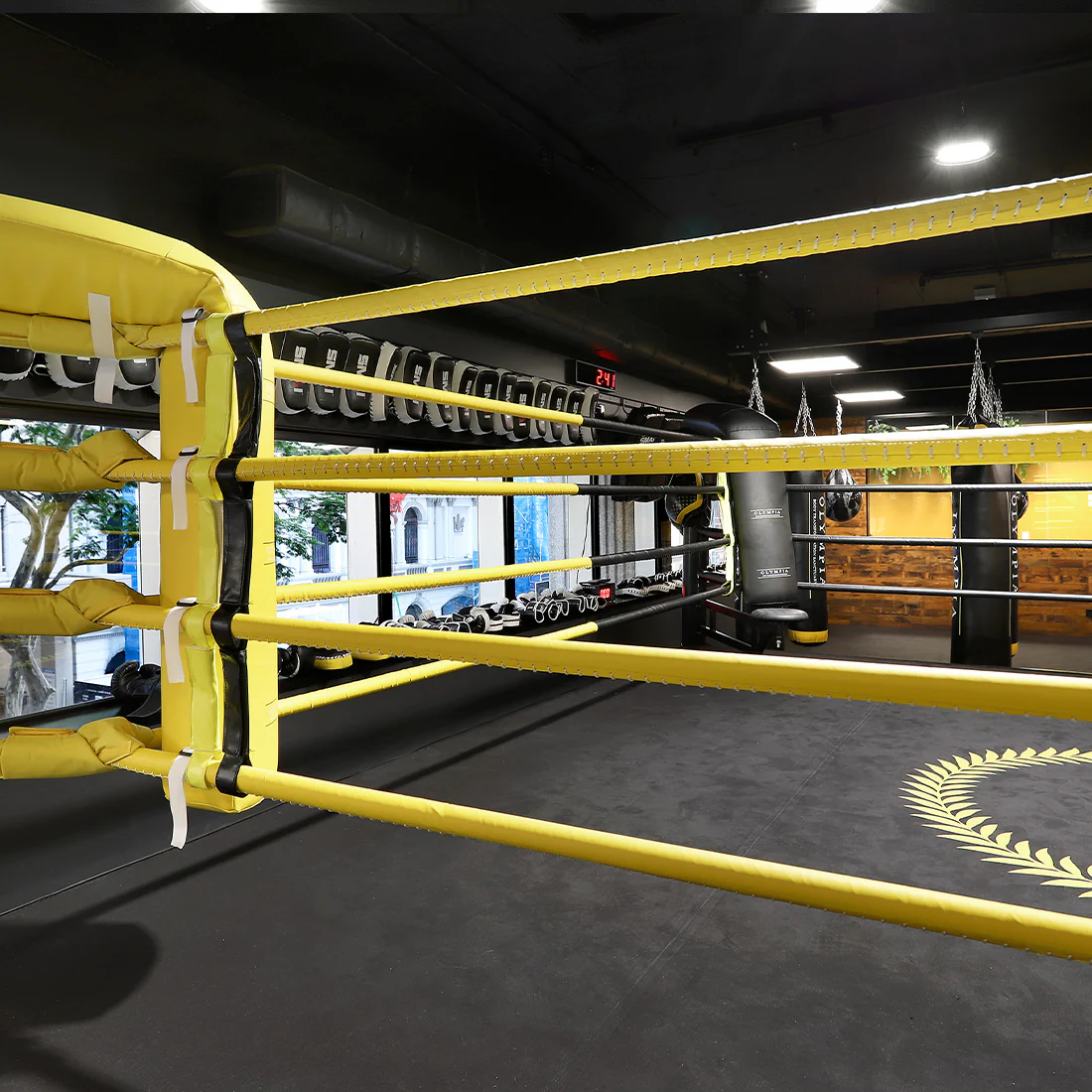 5m Boxing Ring - Competition - Image 6