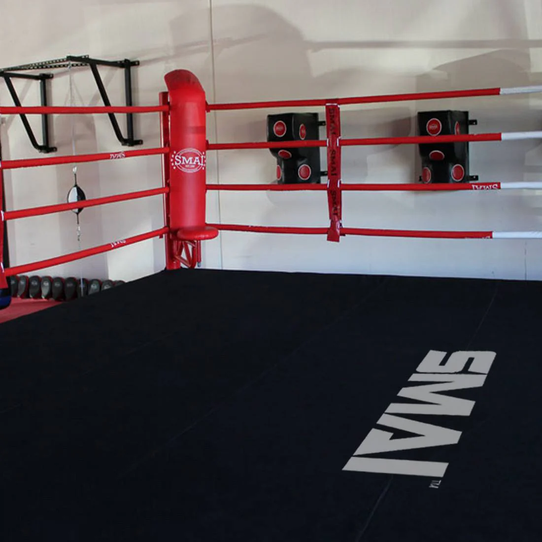 6m Boxing Ring Canvas - Image 7