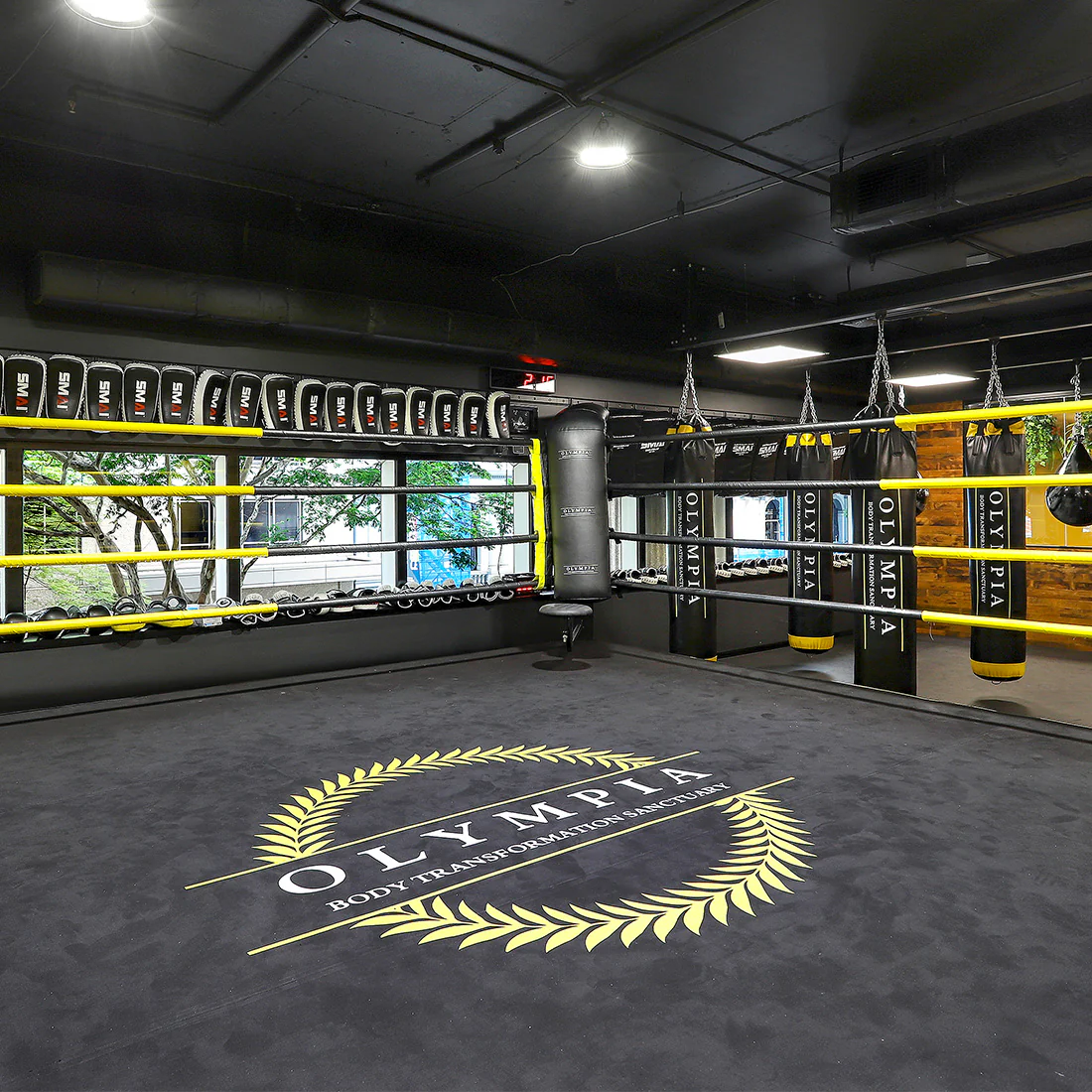 6m Boxing Ring - Competition - Image 7
