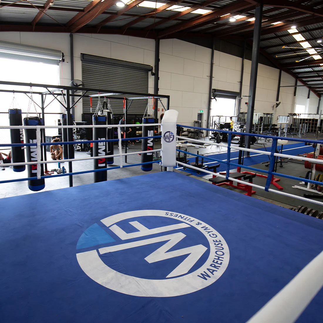 6m Boxing Ring - Competition - Image 8