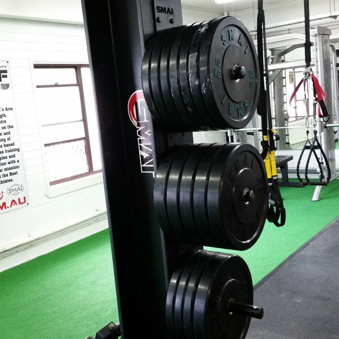 Bumper Plate Storage - Wall Mounted - Image 5