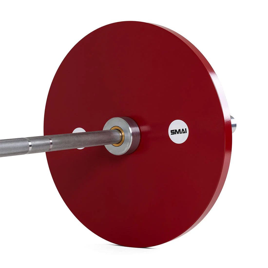 Calibrated Weight Plates - 25kg (Pair) - Image 9