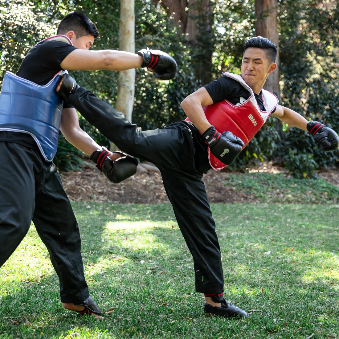 Taekwondo Chest Guard - Reversible - Image 2