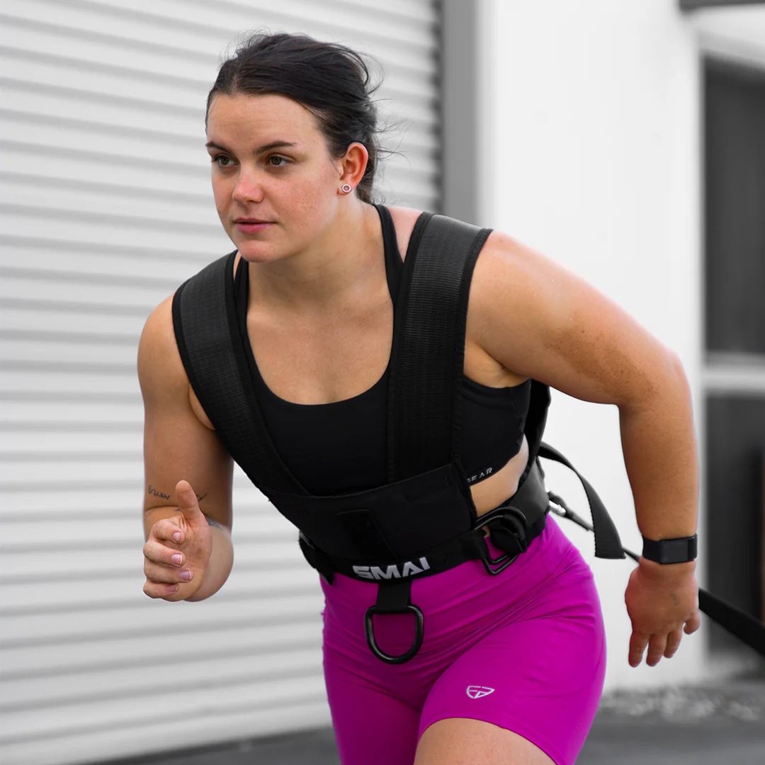 Sled Harness - Commercial - Image 2