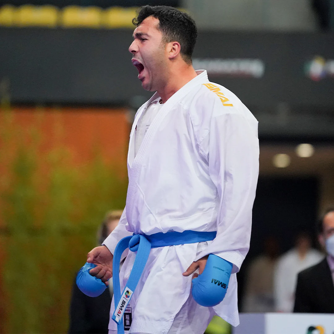 Karate Gloves - WKF Approved - Image 3