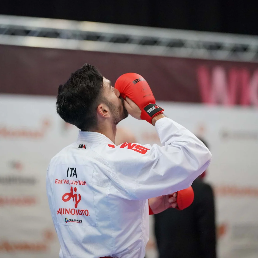 Karate Gloves - WKF Approved - Image 5
