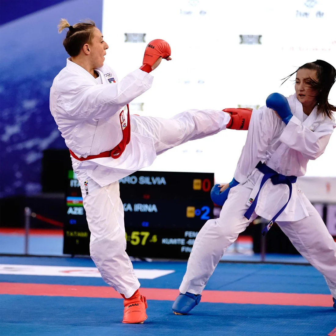 Karate Shin Instep Guard - WKF Approved - Image 3