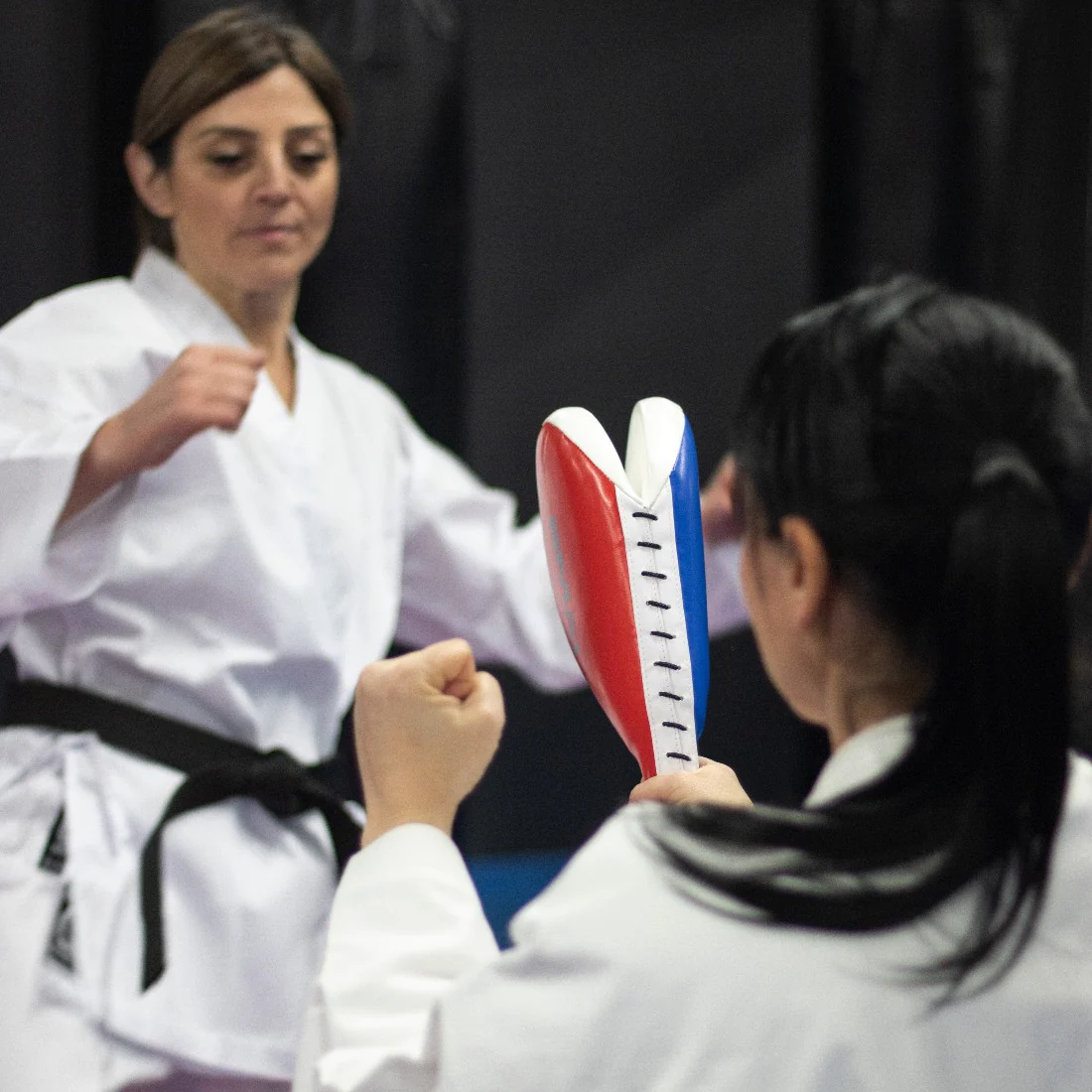 Taekwondo Clapper Target - Image 3