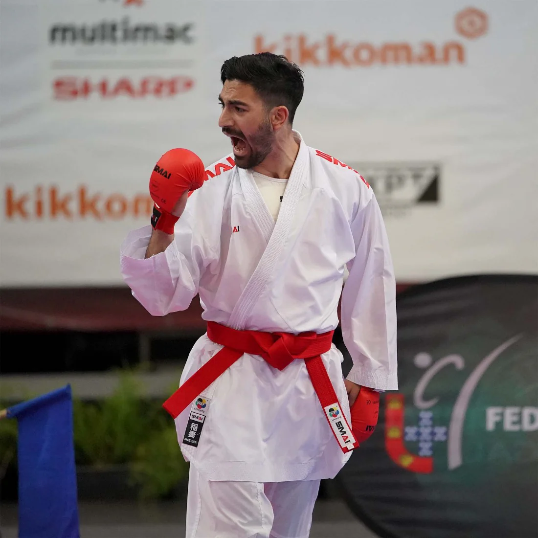 WKF Approved Belt - Deluxe - Image 5